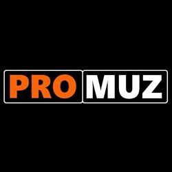 Pro-Muz. Agencja artystyczno - usługowa