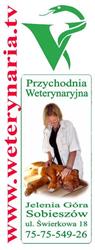 Przychodnia Weterynaryjna. Lek. Wet. Andrzej Walasek