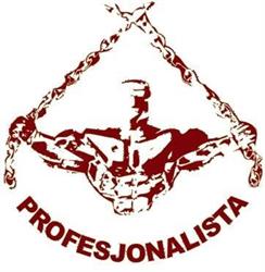Profesjonalista
