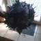 bellis