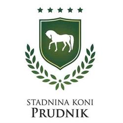 Stadnina Koni Prudnik. Sp. Z O.o.