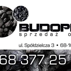 Budopex. Radwański K.