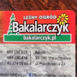 Leśny Ogród. Kwiaty balkonowe, rabatowe, krzewy ozdobne