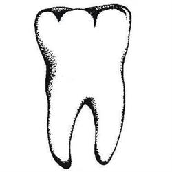 Nova Dent. Sp. Z O.o. Pracownia Protetyczno - Dentystyczna