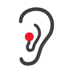 Audiofon. Cyfrowe Aparaty Słuchowe