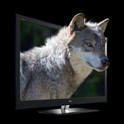Lupus Multimedia
