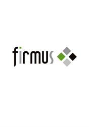 Doradca podatkowy Bielsko - biuro rachunkowe Bielsko - Firmus