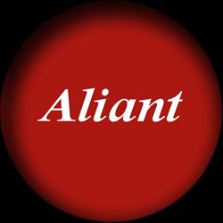 Aliant Computers