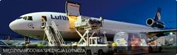 Speed Cargo Service Sp.j. Agencja Celna