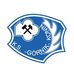 Avans Górnik Konin. Klub sportowy