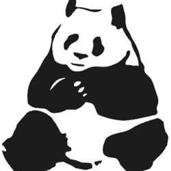 Panda. Fundacja Rozwoju Warszawskiego Ogrodu Zoologicznego