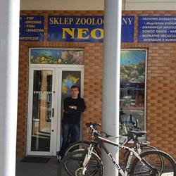 Neon. Art. Zoologiczne i Przemysłowe