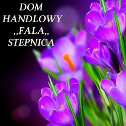Fala. Dom handlowy