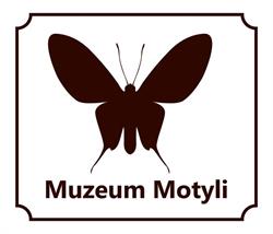 Muzeum Motyli