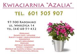 Azalia. Kwiaciarnia