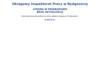 Państwowa Inspekcja Pracy. Okręgowy Inspektorat Pracy