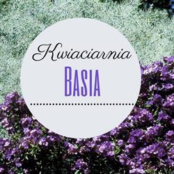Basia. Kwiaciarnia. Paszylk B.