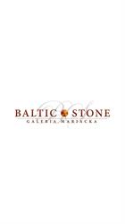Baltic Stone. Srebro, Bursztyn. Neubauer J.