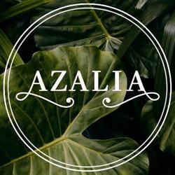 Kwiaciarnia Wisła AZALIA