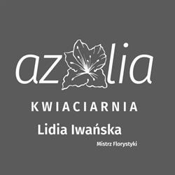 Azalia. Kwiaciarnia. Iwański i.