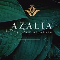 Azalia Kwiaciarnia Rosińska-Chomka D.