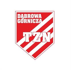 Techniczne Zakłady Naukowe w Dąbrowie Górniczej