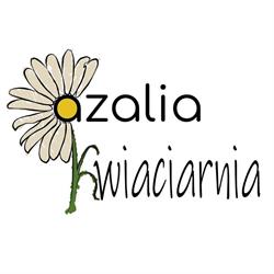 Azalia. Kwiaciarnia. Pielach M.