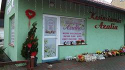 Azalia. Kwiaciarnia