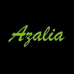 Azalia. Kwiaciarnia. Zielińska R.