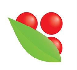 Ardisia. Centrum ogrodnicze i art. dekoracyjne