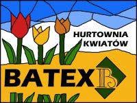 Batex. Pw. Hurtownia
