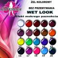 WET LOOK ŻEL - EFEKT MOKREGO SZKŁA