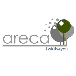 Areca. Jakóbczak D.