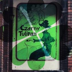 Czarny Tulipan. Pub
