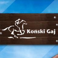 Koński Gaj. Gospodarstwo Agroturystyczne
