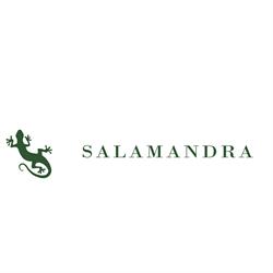 Salon Salamandra