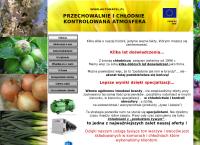 Strona internetowa z Automatel. Czajkowski Piotr.