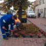 Dodane przez klienta firmy 1.05.2016