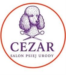 Cezar. Salon Psiej Urody. Puzik r.