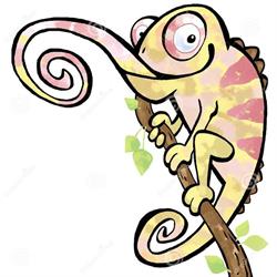 Kameleon. Sklep zoologiczno - wędkarski