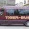 Oferujemy przejazdy komfortowymi busami i autokarami na terenie całego kraju.