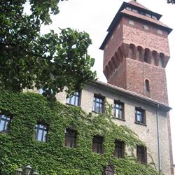Muzeum im. J. Dzierżona