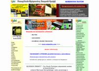 Strona internetowa z Państwowa Szkoła Muzyczna I i II stopnia im. Fryderyka Chopina w Olsztynie