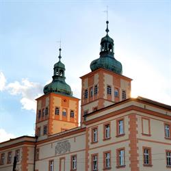 Dom Pomocy Społecznej