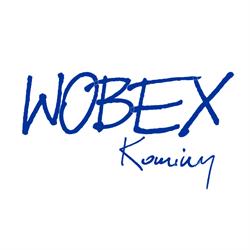 WOBEX Kominy - Producent wkładów kominowych