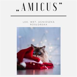 Amicus s.c.