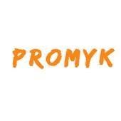 Niepubliczne Przedszkole Promyk