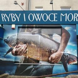 Perkoz. Ryby, owoce morza. Trzciński K.