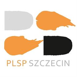 Liceum Plastyczne im. C. Brancusi