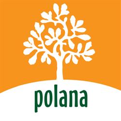 Polana
